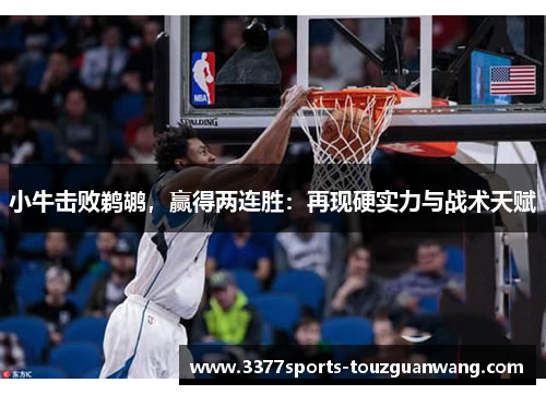 小牛击败鹈鹕，赢得两连胜：再现硬实力与战术天赋