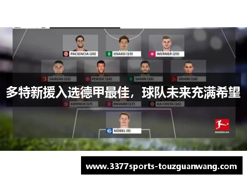 多特新援入选德甲最佳，球队未来充满希望